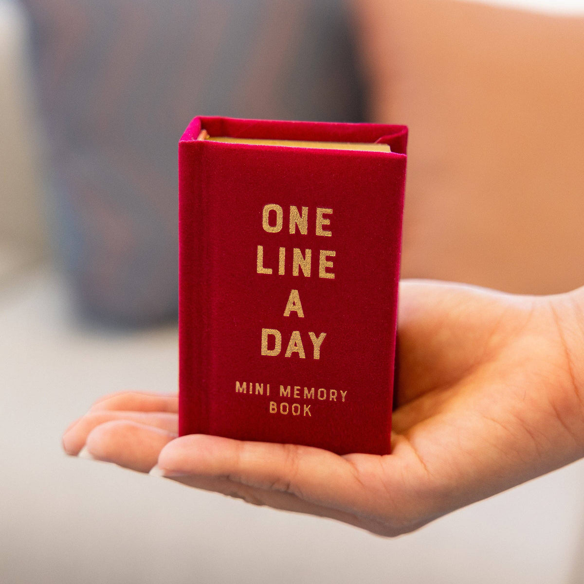 Rose Velvet Mini One Line a Day - A One-Year Memory Book