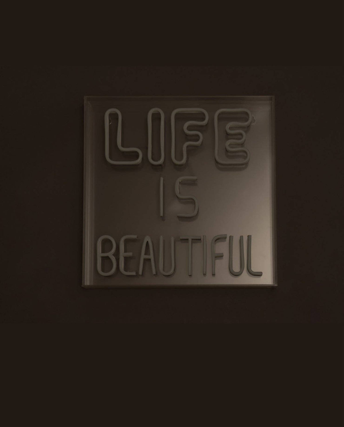 Life Is Beautiful Neon Led Acrylic Lightbox