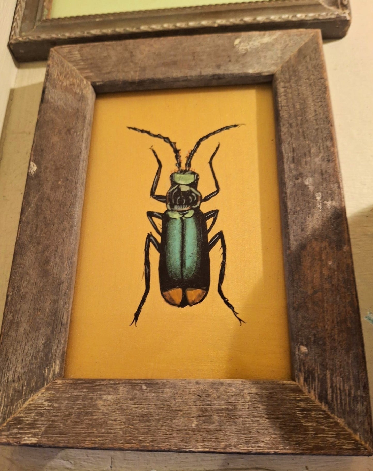 Artwork: Vintage framed Indian hand painted picture of an Insect