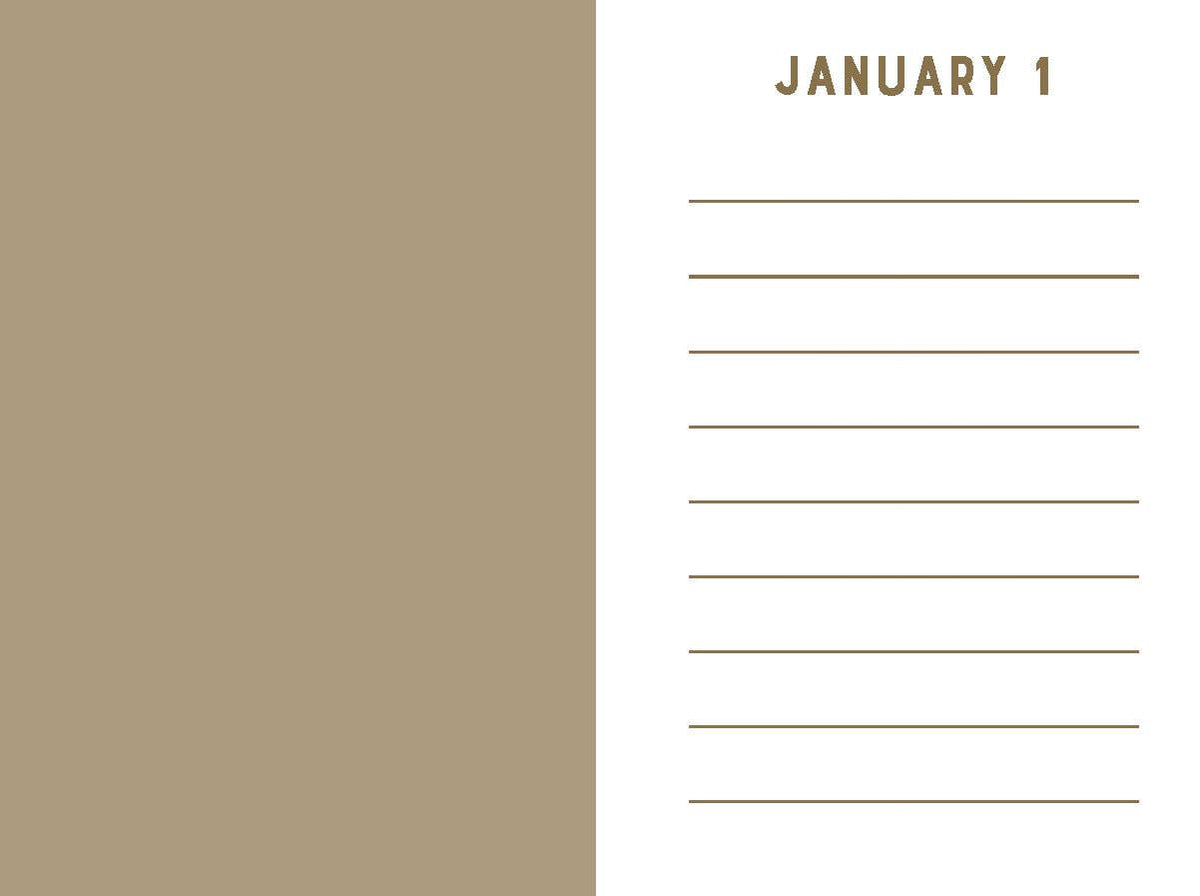 Rose Velvet Mini One Line a Day - A One-Year Memory Book