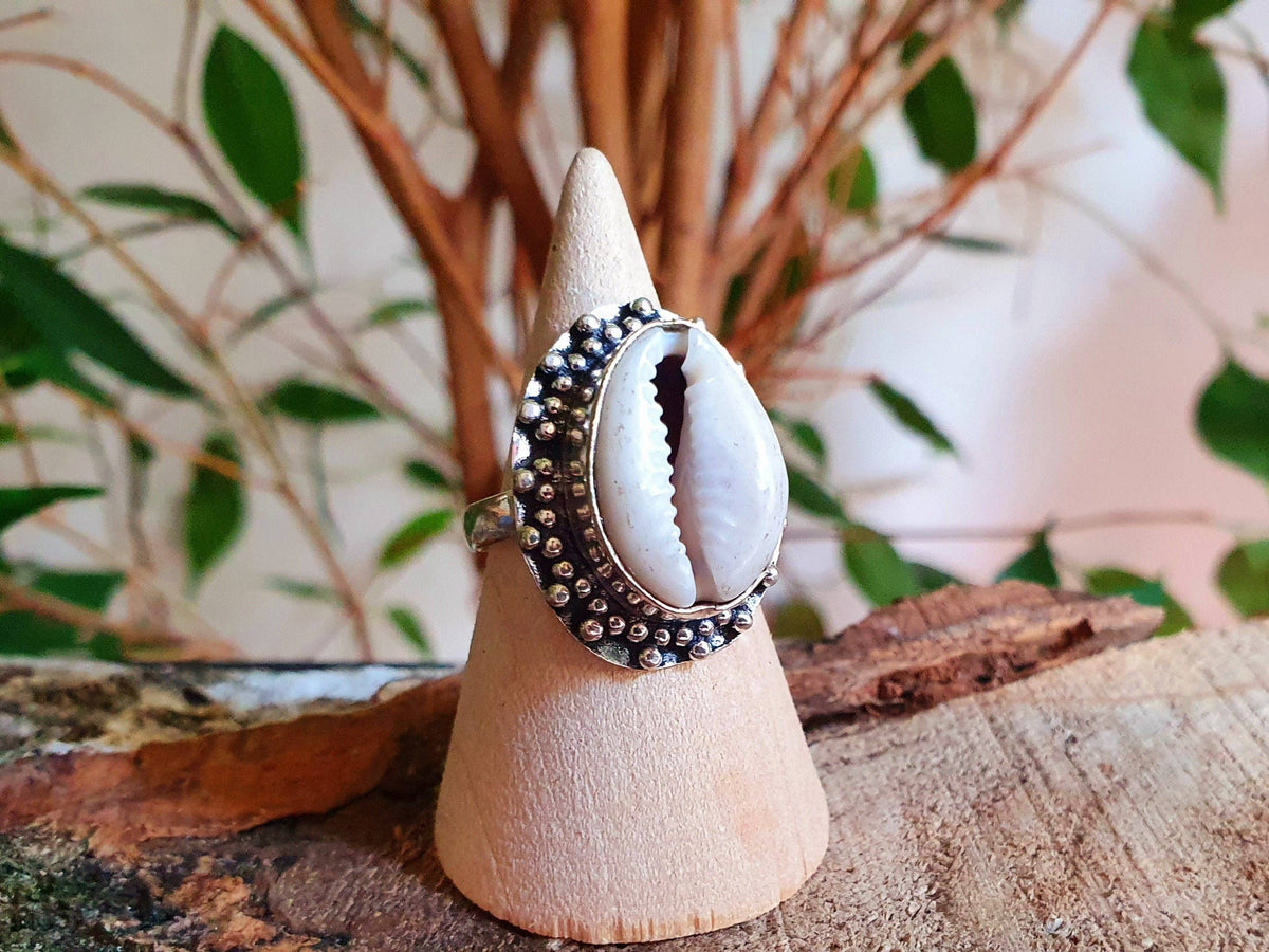 Cowrie Shell Silver Ring