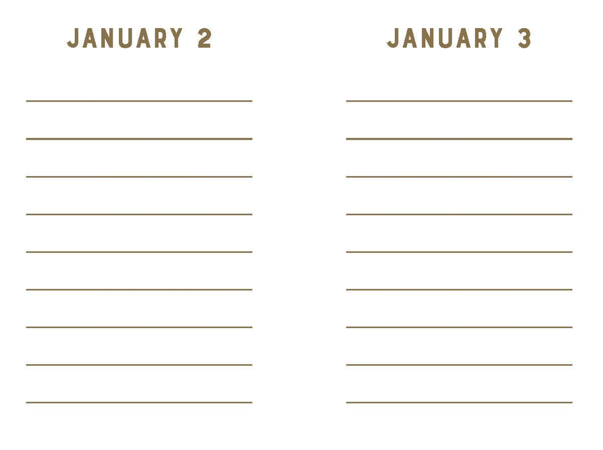 Rose Velvet Mini One Line a Day - A One-Year Memory Book