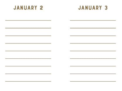 Rose Velvet Mini One Line a Day - A One-Year Memory Book